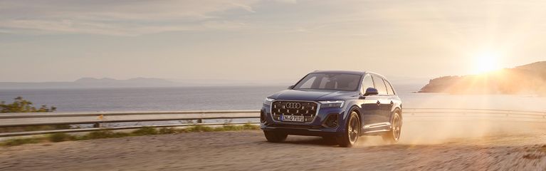 Revisión Gratuita Audi Summer Check